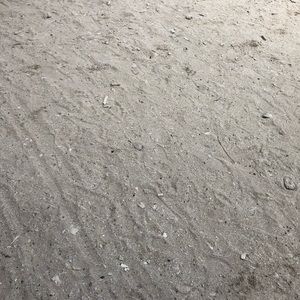 Meet your Posher, Theresa